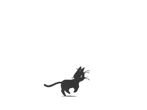 loading animation